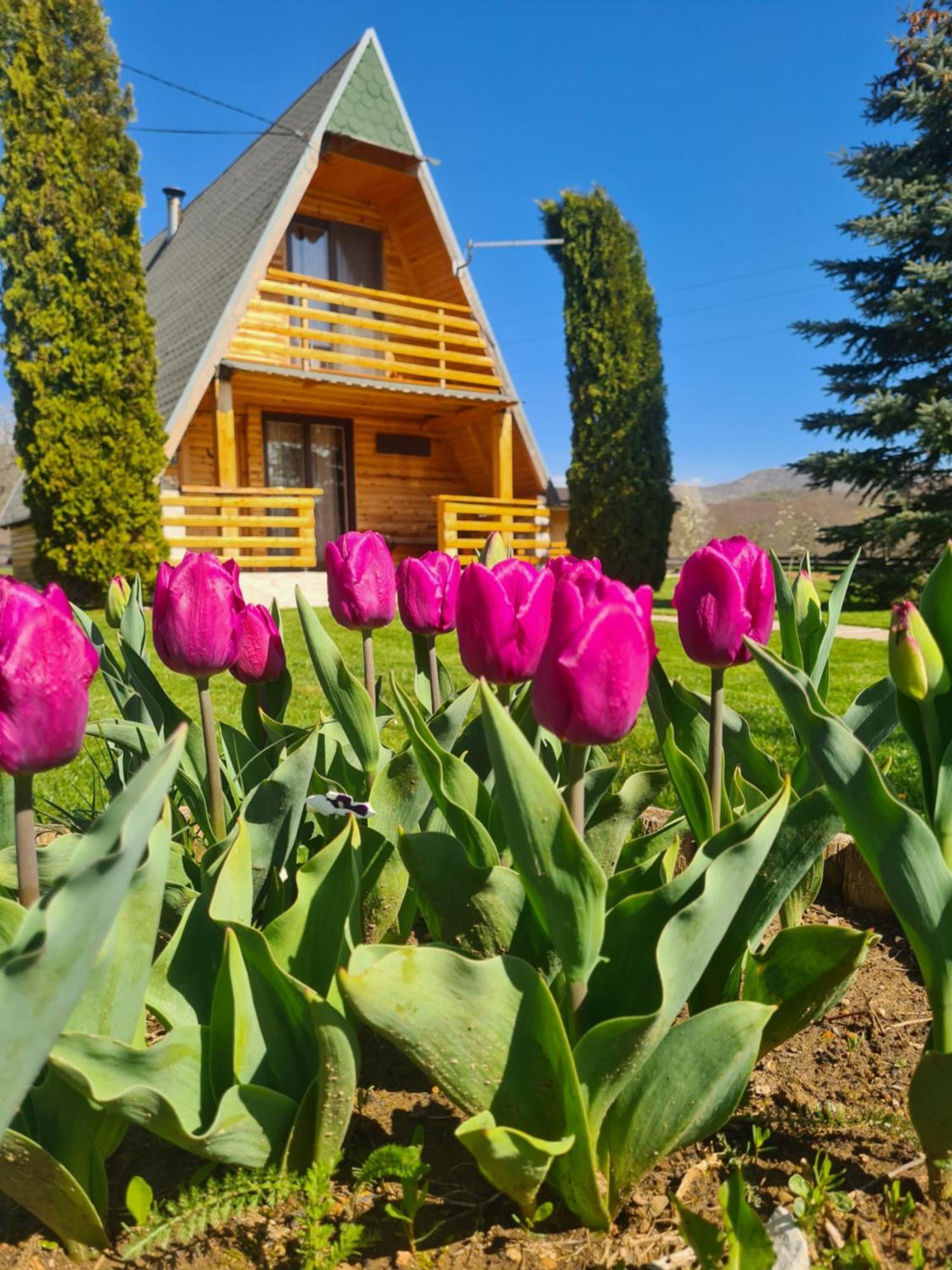 Chalet Velebitska Kuca Velika Plana Kültér fotó