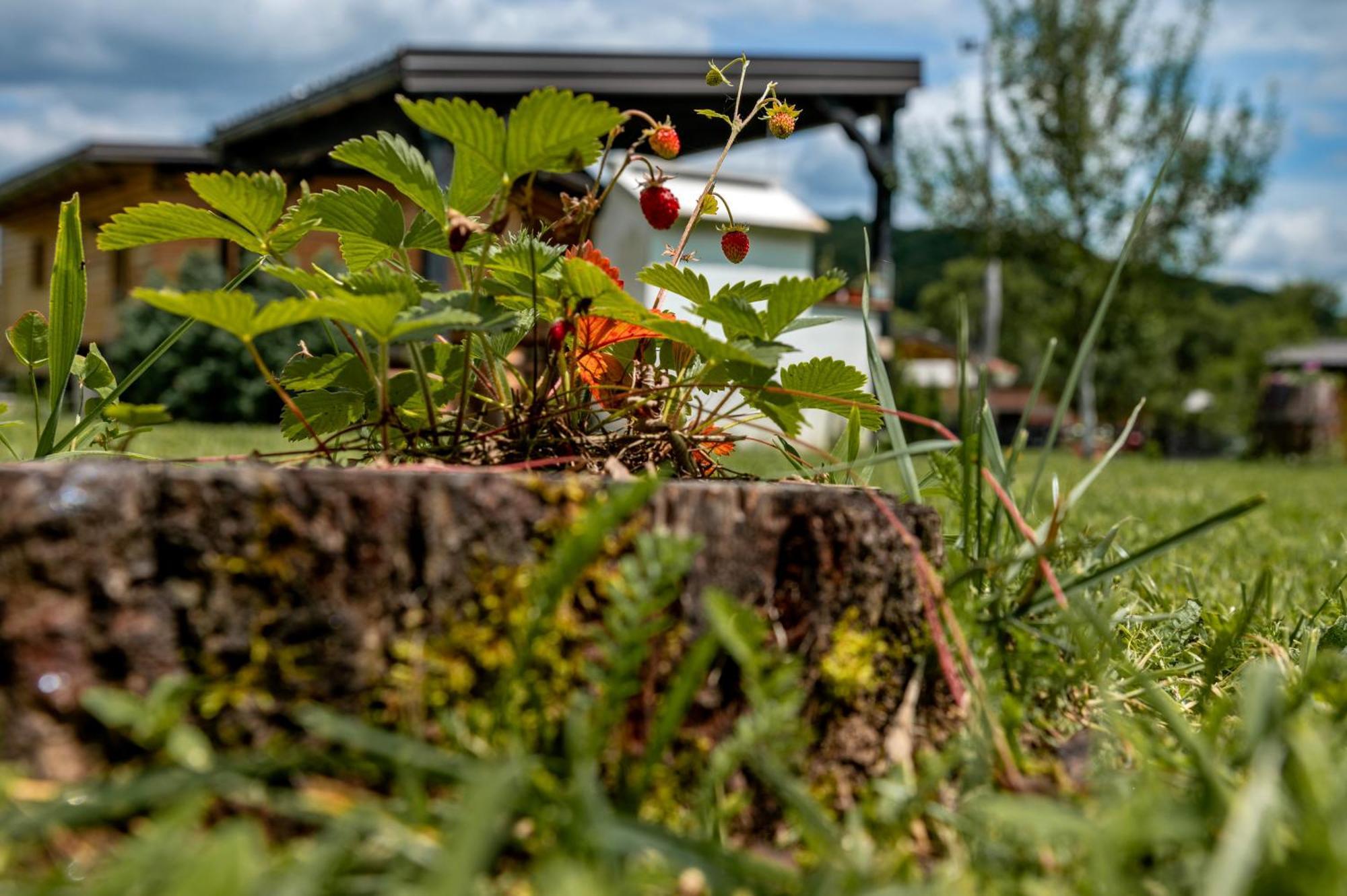 Chalet Velebitska Kuca Velika Plana Kültér fotó