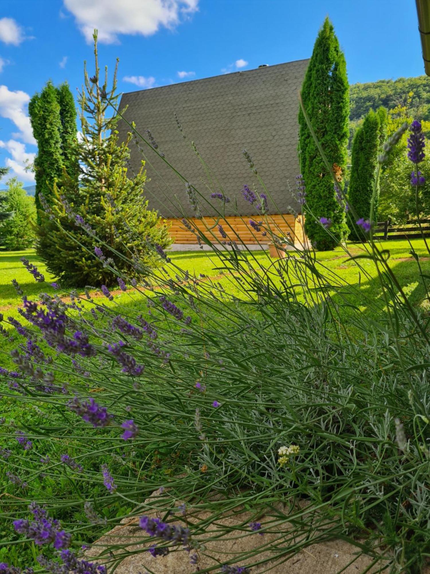 Chalet Velebitska Kuca Velika Plana Kültér fotó